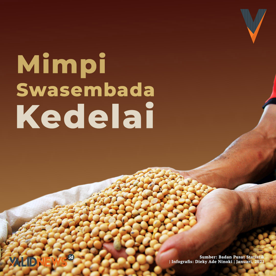 Mimpi Swasembada Kedelai
